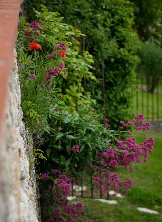 Bed and Breakfast Chateau De Lassalle Laplume Exteriér fotografie